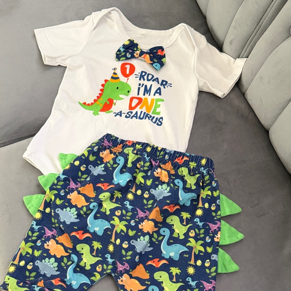 Dinosaur Themed Kids Matching Set
